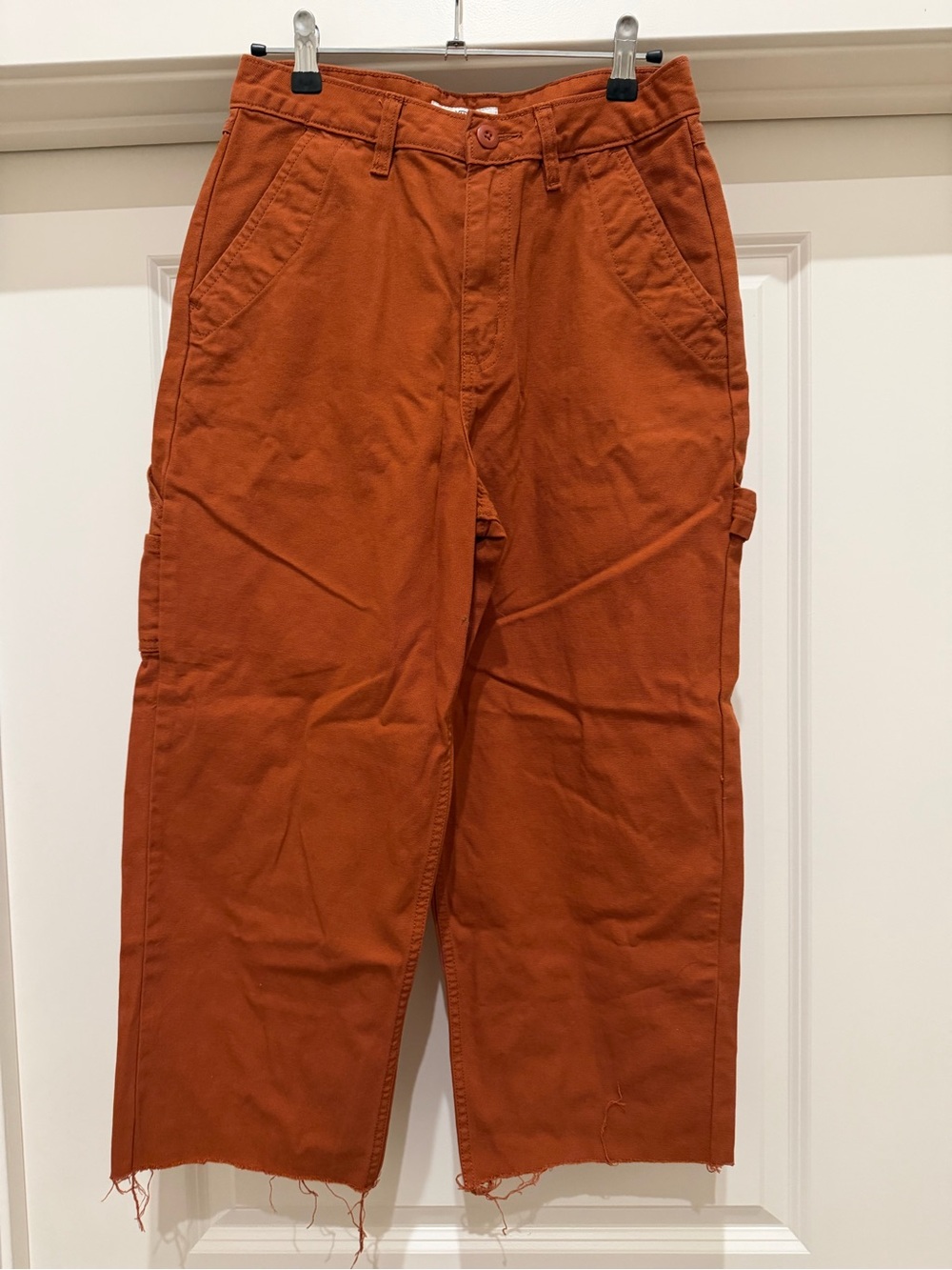 VANS Rust Orange Carpenter Pants
